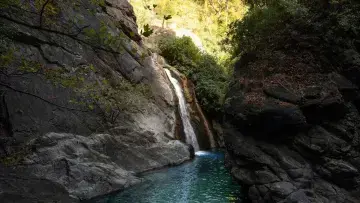 Efsanelerin ve Oksijenin Vatanı: Kazdağı Milli Parkı