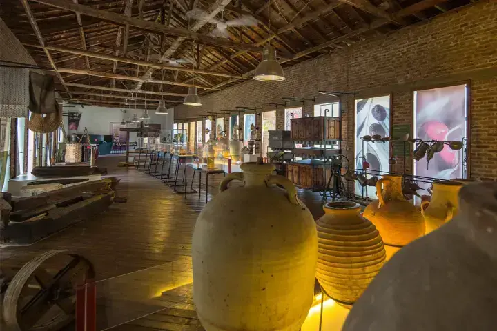 Nadas Kazdağları'ndan Lezzete ve Tarihe Bir Damla: Adatepe Zeytinyağı Müzesi